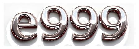 e999 logo